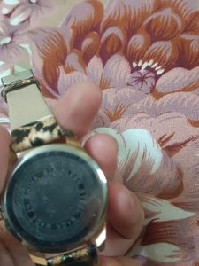 New Watch Tiger