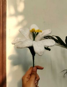LILY FLOWER