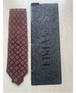 Set of 2 Elegant Satya Paul Ties in Silk