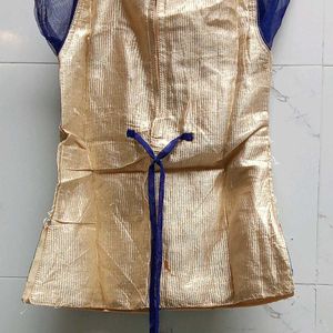 Lehenga Choli (indo western dress)