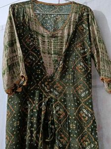 Elegant Printed Ethnic Gown