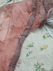 Peach Floral Saree with Embellished Border