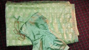 Pista Green Shining Saree