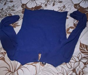 Blue Top with Puffy Sleeves
