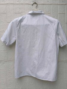 New with tag Korean White Button-Up Crop Top