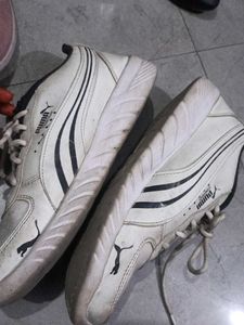 Puma Sports Shoes