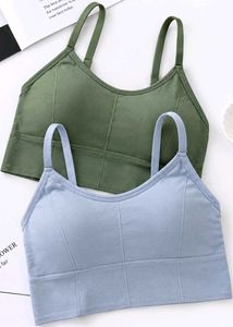 Comfortable Sports Bras (2-Pack) 🌹🤣💖