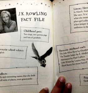 Harry Potter and the Philosopher's Stone
