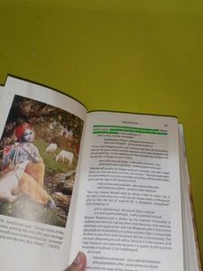 Bhagavad Geeta (English)