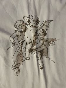 fairy core crotop