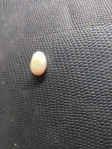Original Oval Opal Gemstone