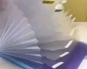 A4 Accordion Document Folder with Handle