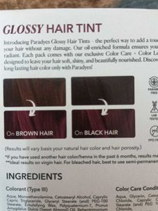 Paradyes Glossy Hair Tint : Berry plum