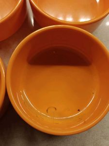 Set of 6 Serve Well Orange Bowls