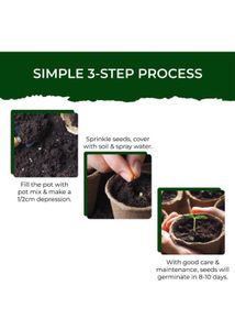 Tulsi Grow Kit