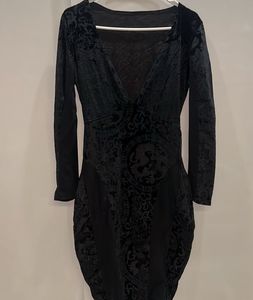 Velvet Dragon Print Dress