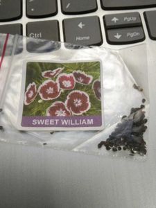 Cosmos &amp; sweet William Flower Seeds Packet