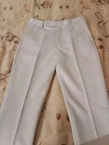Men's Beige Casual Pants