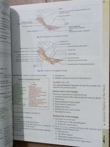 Human Anatomy Vol 3 and 4