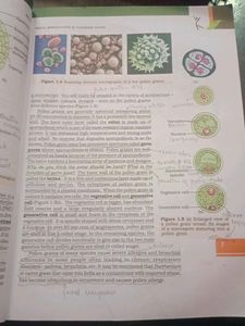 Biology Textbook for Class XII