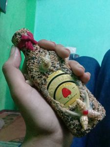 Unique Seashell Decorated Bottle( inside wine)