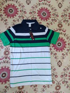 New Striped Polo T-Shirt