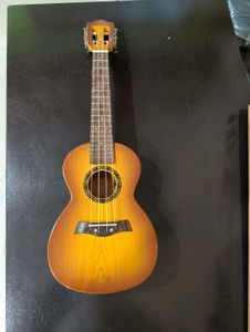 Beginner Ukulele - Great for Music Lovers