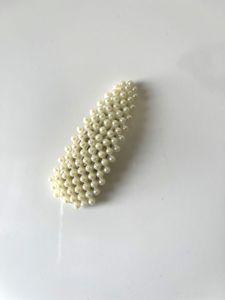 Tick Tok Hair Clip