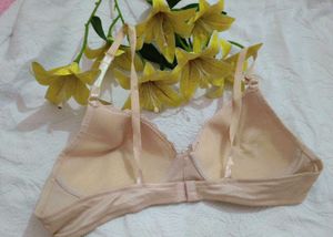 Very Beautiful Embroidery Bra