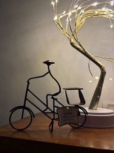 Unique Metal Bicycle Showpiece