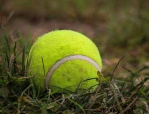 Tennis Cricket Ball, Used