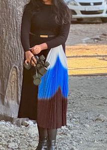 Stylish Pleated Color Block Dress