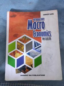 Introductory Macro Economics XII