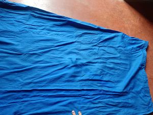Royal Blue Stretchable Blouse and peticoat