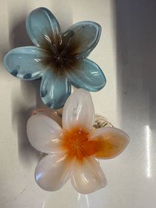 Flower Hair Clips - Set of 2