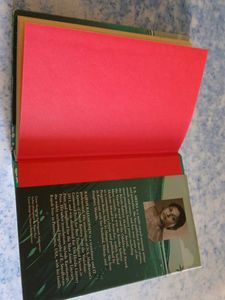 The Gospel of Judas by K.R. Meera