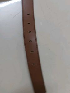 Classic Brown Belt