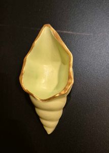 Seashell Decorative Showpiece