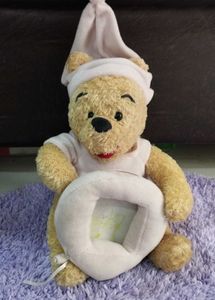 Winnie the Pooh Plush Photo Frame