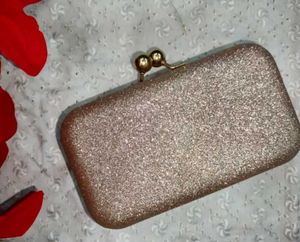 Sparkly Clutch - Perfect for Parties!