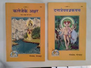 Garuda Purana Book - Hindi