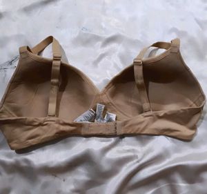 calvin klien Bra