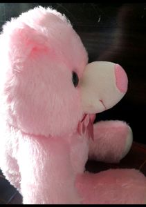 🧸 New teddy bear 🧸