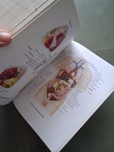 Dorland's Medical Dictionary
