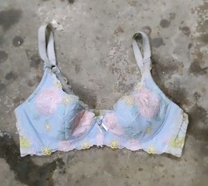 Blue Embroidered Bra