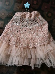 Embellished Blouse With Lehenga