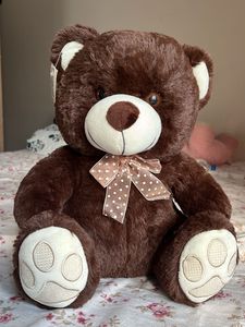 Cute Brown Plush Teddy Bear
