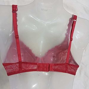 Red Lace🪔 Bra