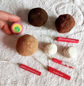 Seed Bombs for Planting