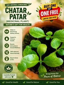 Medicinal Live Plant - Stone Crusher Plan